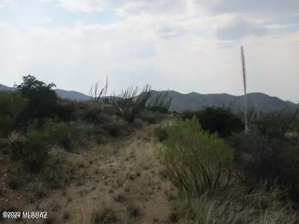 18655 S Sierrita Mountain Road, Tucson, AZ 85736