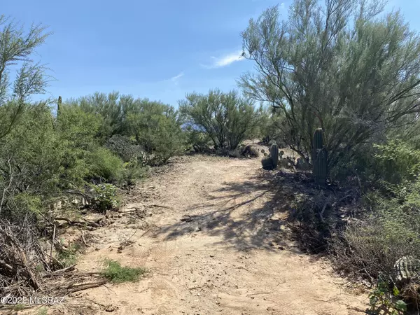 Oro Valley, AZ 85755,7 acres W Tangerine Rd