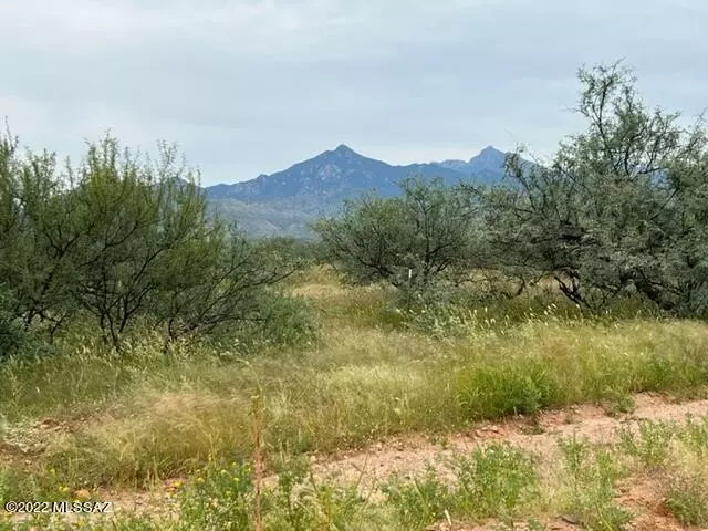 Rio Rico, AZ 85648,TBD Camino Nacozari  #62