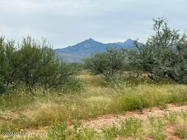 TBD Camino Nacozari  #62, Rio Rico, AZ 85648