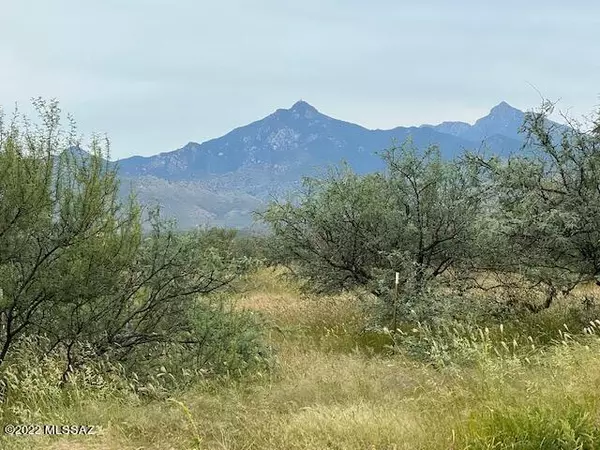 Rio Rico, AZ 85648,TBD Camino Nacozari  #62