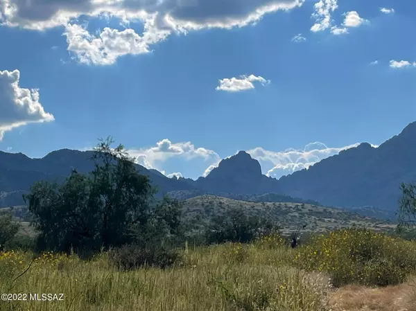 TBD Justin St. Vacant Lot  #7 & 10, Pearce, AZ 85625