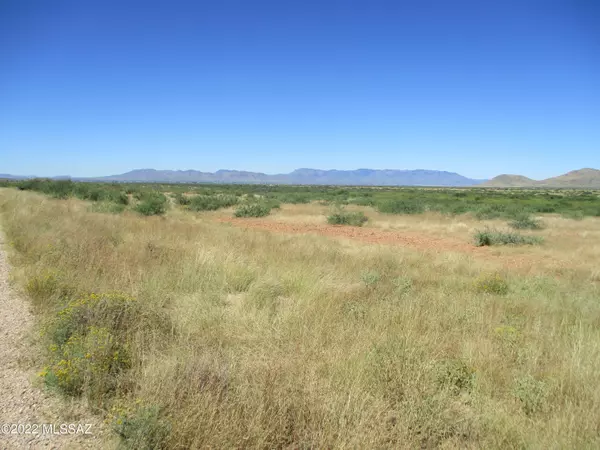 TBD E Guadalupe Road #5, Willcox, AZ 85643