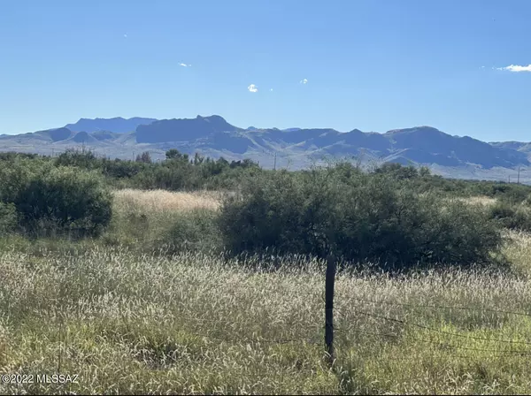 Willcox, AZ 85643,20.33ac W Escondido Road #0