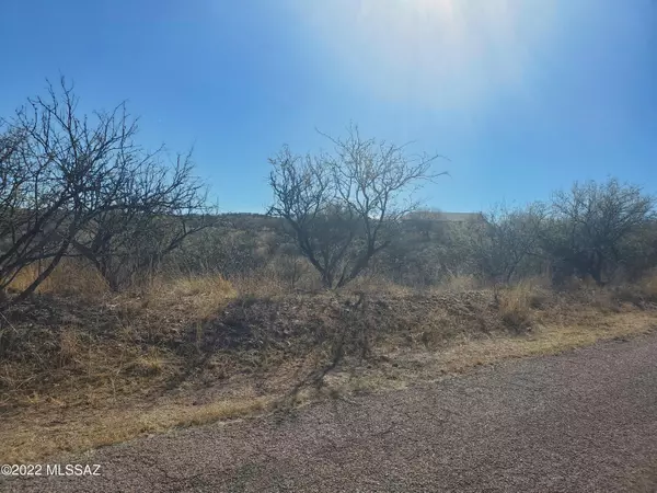 Rio Rico, AZ 85648,561 Camino Kansas  #14