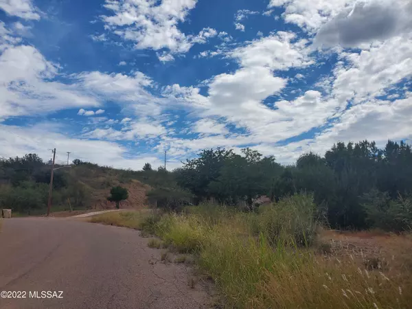 Rio Rico, AZ 85648,270 Rey Court #22