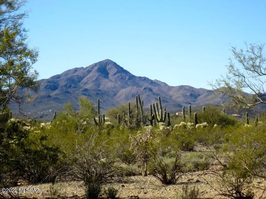 Tucson, AZ 85745,5347 N Blue Bonnet Road