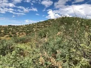 Rio Rico, AZ 85648,324 Camino Magnifico  #31