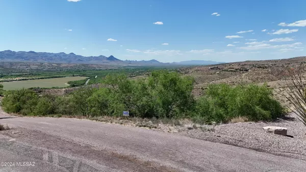 Rio Rico, AZ 85648,324 Camino Magnifico  #31