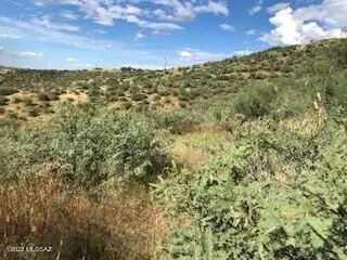 Rio Rico, AZ 85648,324 Camino Magnifico  #31