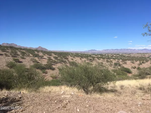 Rio Rico, AZ 85648,1135 Corrida De Toros  #9