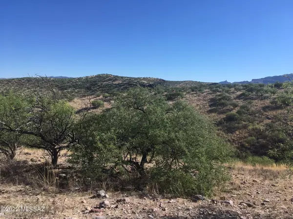 Rio Rico, AZ 85648,1135 Corrida De Toros  #9