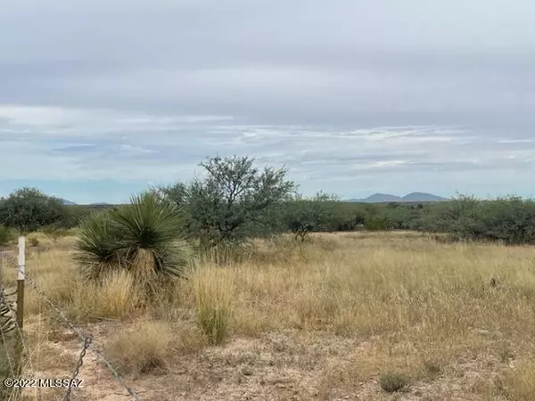 Benson, AZ 85602,TBD S. Lonesome Road