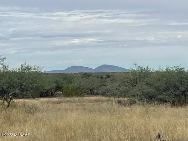 Benson, AZ 85602,TBD S. Lonesome Road