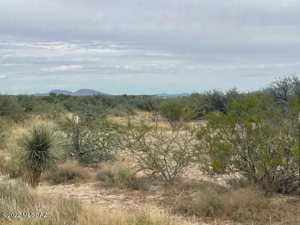 Benson, AZ 85602,TBD S. Lonesome Road