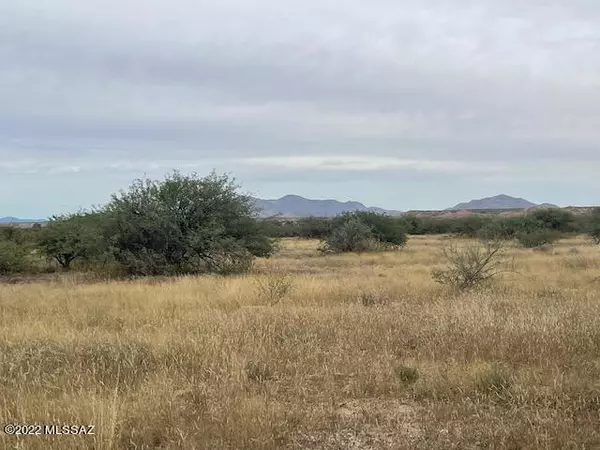 Benson, AZ 85602,TBD S. Lonesome Road