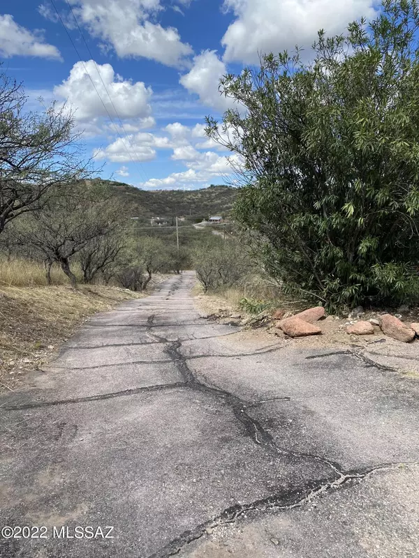 Rio Rico, AZ 85648,964 Camino Caralampi