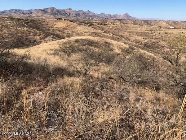 Rio Rico, AZ 85648,1149 Corrida De Toros  #16