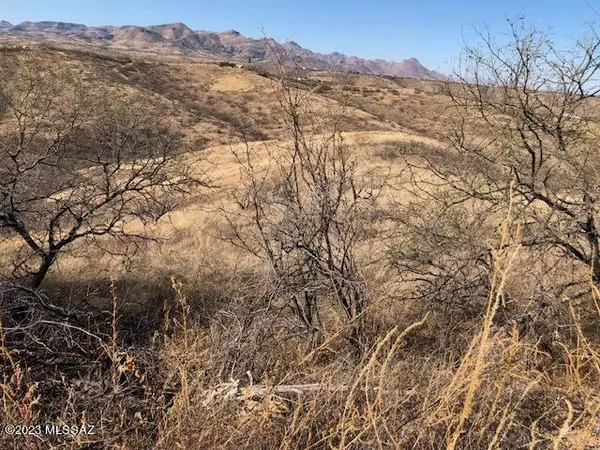 Rio Rico, AZ 85648,1149 Corrida De Toros  #16