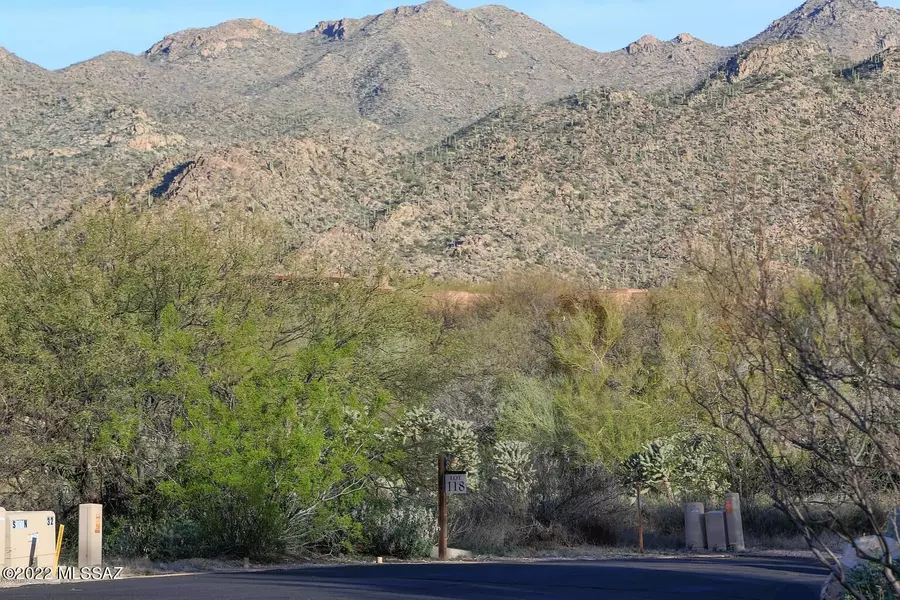 1235 W Weathered Stone Place #Lot 118, Oro Valley, AZ 85755