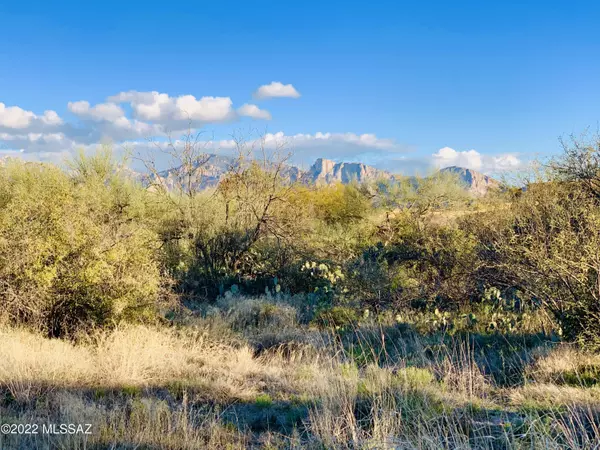 Oro Valley, AZ 85755,1235 W Weathered Stone Place #Lot 118