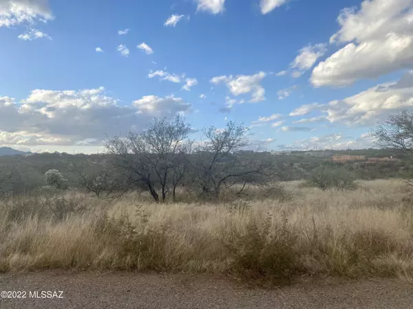 Rio Rico, AZ 85648,154 Camino Rumano  #51