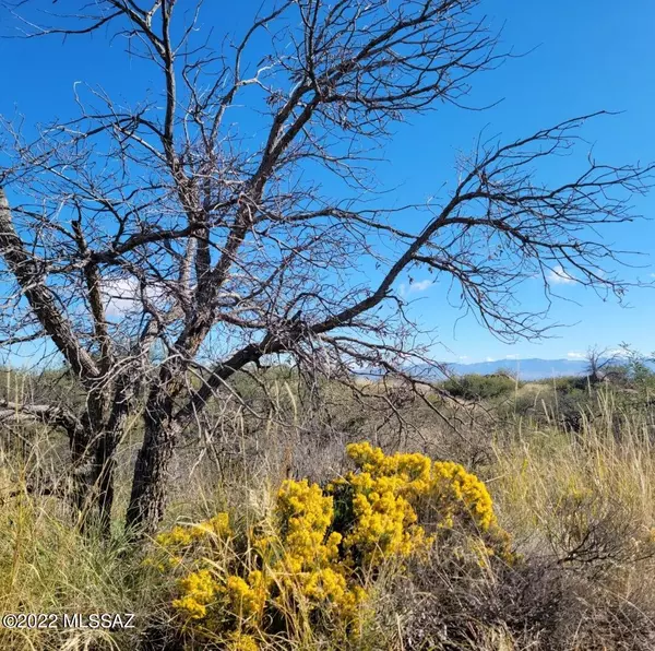 Oracle, AZ 85623,5 acres off Our Way