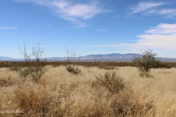 St. David, AZ 85630,M105 N Hawks Nest Trail #LOT 105