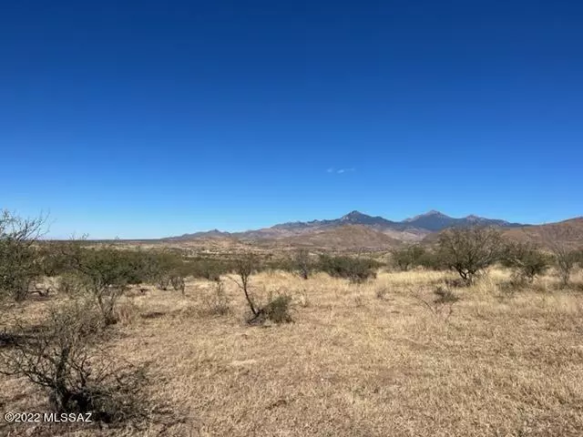 Tubac, AZ 85646,TBD Morning Star Drive  #81