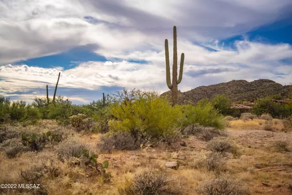 Oro Valley, AZ 85755,14656 N Granite Peak Place #272