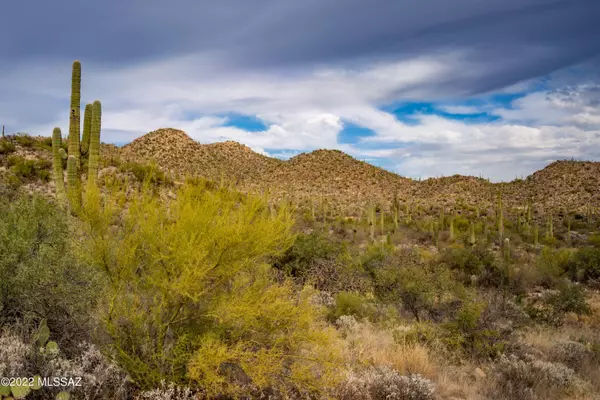 Oro Valley, AZ 85755,14656 N Granite Peak Place #272