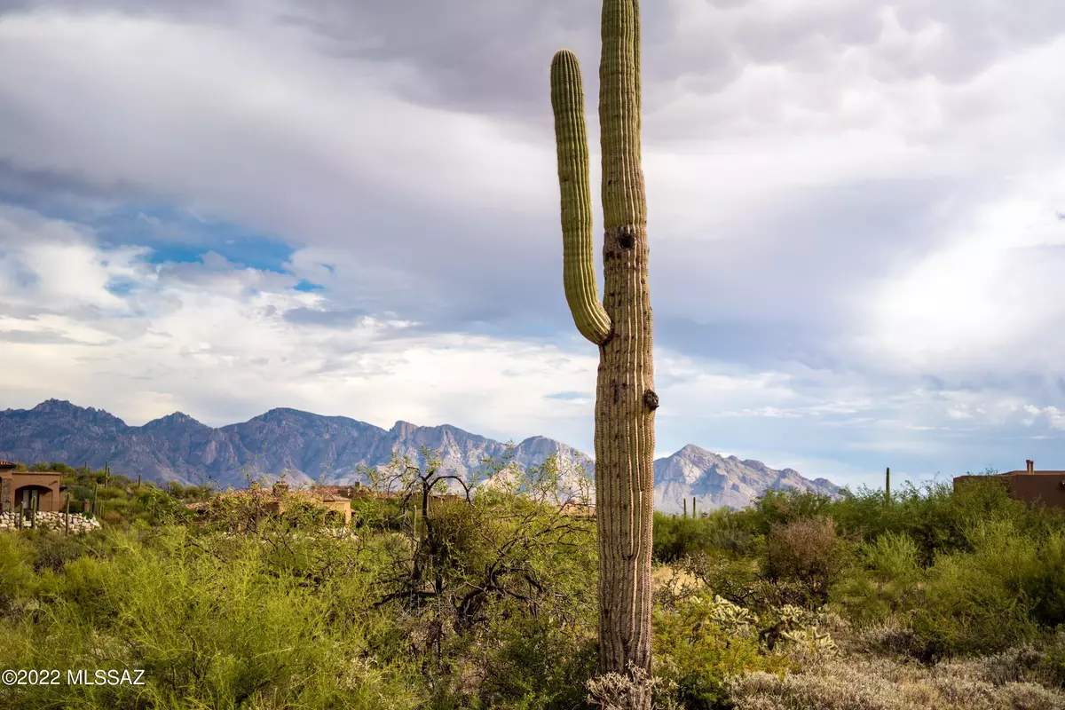 Oro Valley, AZ 85755,14656 N Granite Peak Place #272