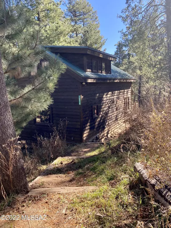 12046 N Soldiers Camp Road #46, Mt. Lemmon, AZ 85619