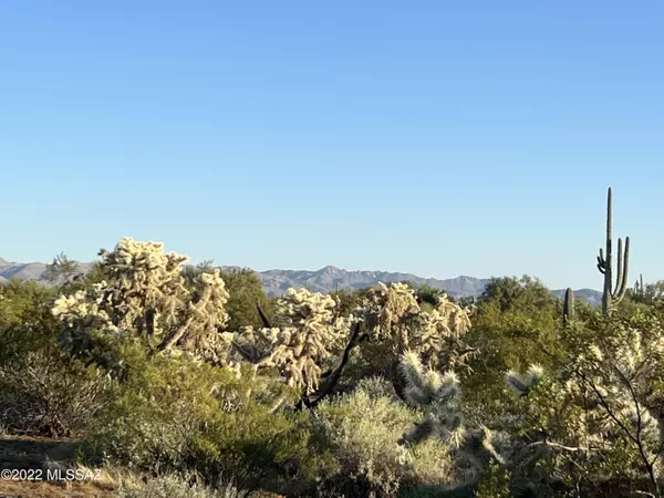 Marana, AZ 85658,000 S Cattle Tank Road