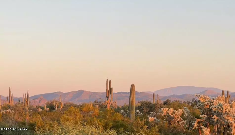 Marana, AZ 85658,000 S Cattle Tank Road