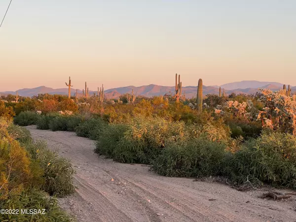 Marana, AZ 85658,000 S Cattle Tank Road