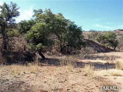 Patagonia, AZ 85624,111 Lado De Loma Drive #32