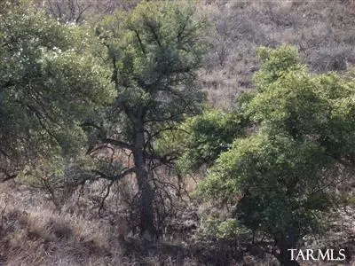 Patagonia, AZ 85624,111 Lado De Loma Drive #32