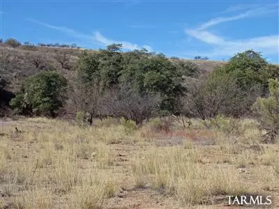 Patagonia, AZ 85624,111 Lado De Loma Drive #32