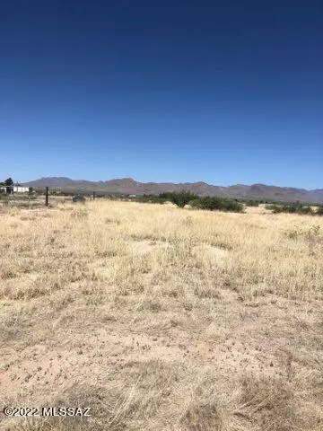 Willcox, AZ 85643,Fort Grant Road #D