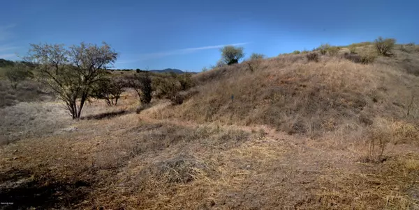 Patagonia, AZ 85624,1 Tanglehead Lane #1