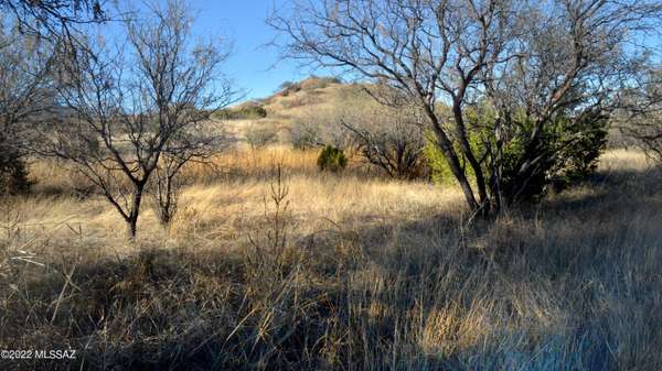 Lot 11 TangleHead Lane #., Patagonia, AZ 85624