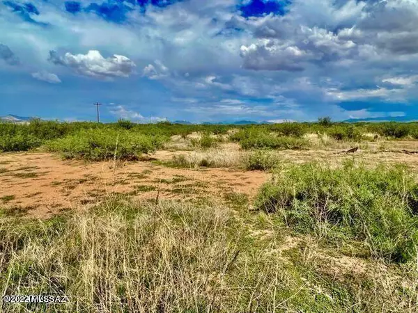 Willcox, AZ 85643,TBD Arzberger 20 Acres Lot A  #-