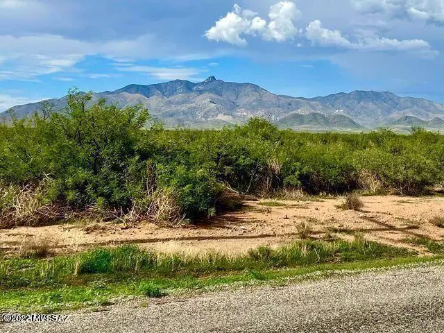 Willcox, AZ 85643,TBD Arzberger 20 Acres Lot A  #-