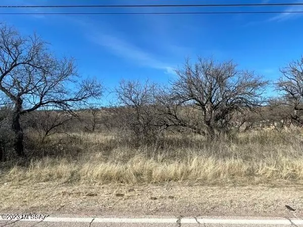 Rio Rico, AZ 85648,1023 Camino Caralampi