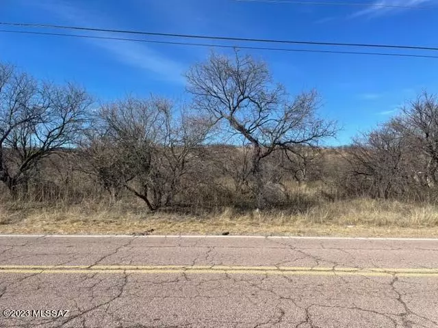 Rio Rico, AZ 85648,1023 Camino Caralampi