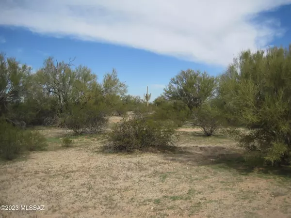 Marana, AZ 85658,000 S Estancia Drive