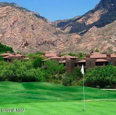 Tucson, AZ 85750,5800 N Kolb Road #2110