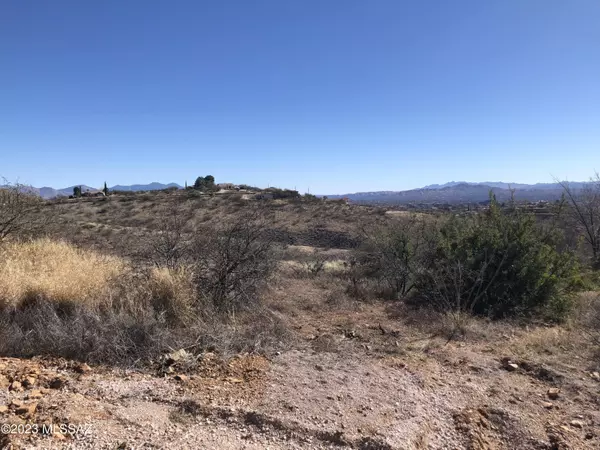 Rio Rico, AZ 85648,1357 Camino Faja  #38