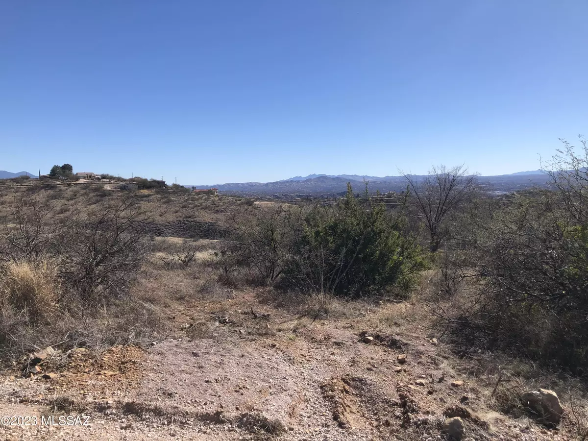 Rio Rico, AZ 85648,1357 Camino Faja  #38